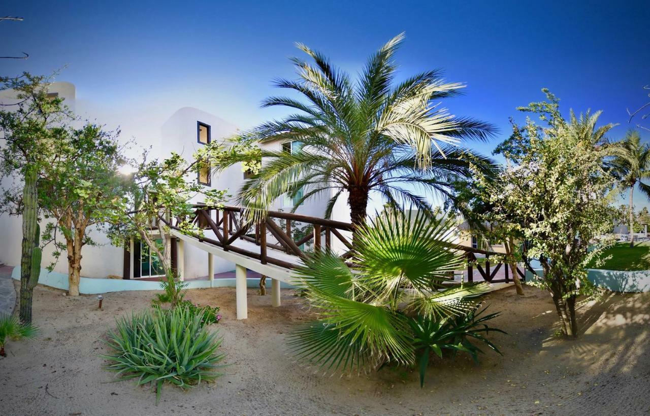 Santa Maria Del Cabo Hotel San José del Cabo Buitenkant foto